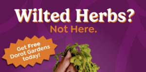 Claim One Free Dorot Gardens Herb Sample (Via Mailed Coupon) (Working In 2025)